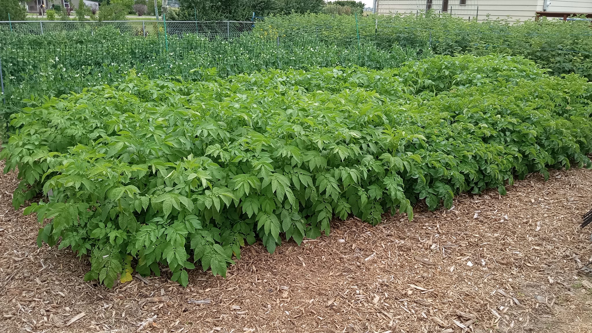 Health Restored Permaculture